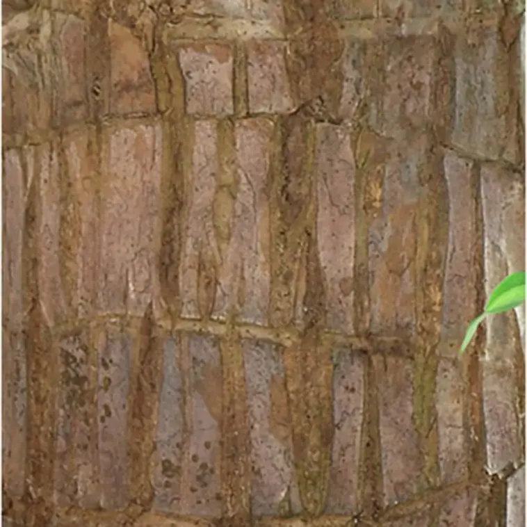 🔥Best Christmas gifts of 2025🎄Lucky Brazil Wood Potted Plant🎊